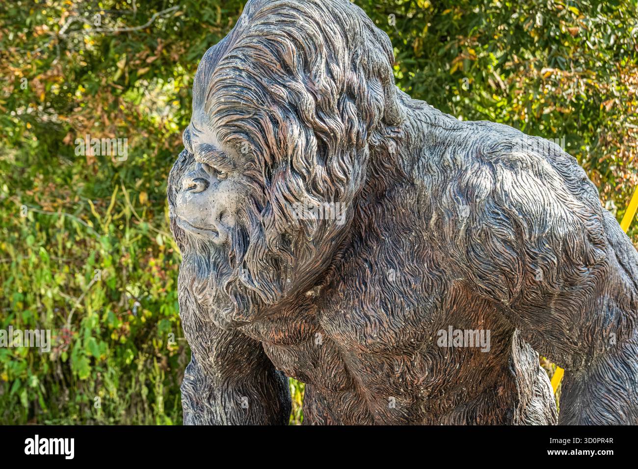 Statua di Bigfoot a lato della strada nella Shawnee National Forest vicino al Garden of the Gods nell'Illinois meridionale. (USA) Foto Stock