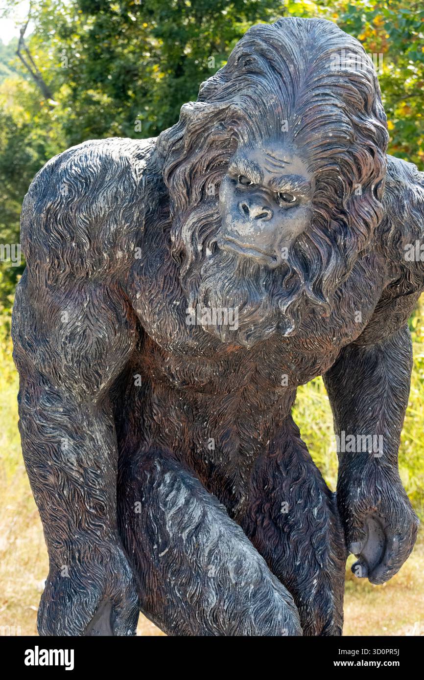 Statua di Bigfoot a lato della strada nella Shawnee National Forest vicino al Garden of the Gods nell'Illinois meridionale. (USA) Foto Stock