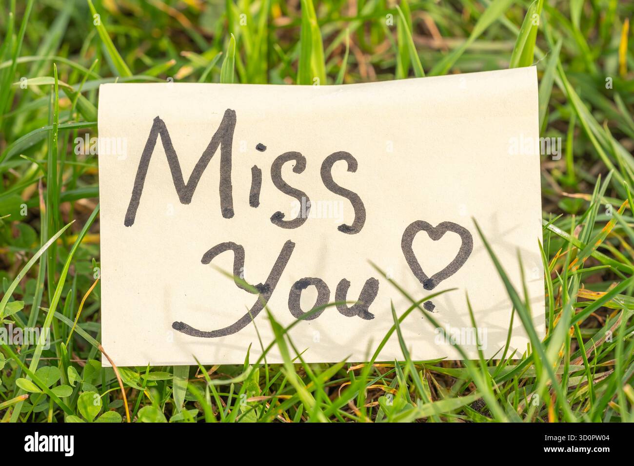 Carta per notebook con "Miss You" e cuore disegnato su carta per notebook, erba verde - vista dall'alto Foto Stock