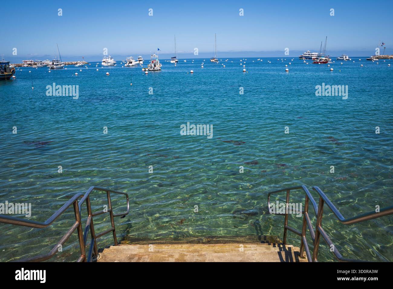 Avalon, Isola di Catalina, CA USA - 25 aprile 2019: Scalini di pietra che portano nelle acque cristalline del porto di Avalon. Foto Stock