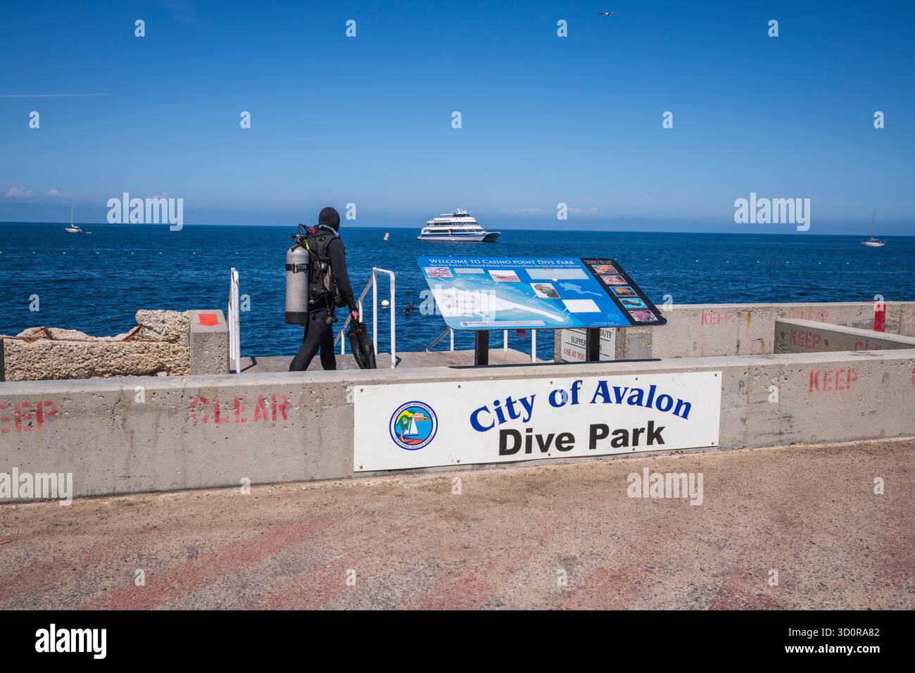 Avalon, Catalina Island, CA USA - 25 aprile 2019: Acque cristalline e vivace vita marina attendono i subacquei al Casino Point Underwater Park. Foto Stock