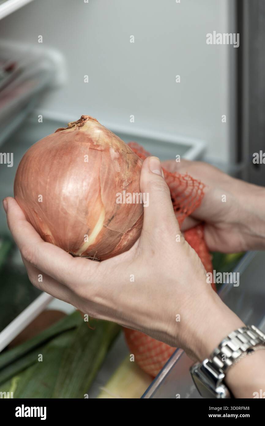 Prendere a mano la cipolla marrone da un sacchetto in rete all'interno di un moderno frigorifero per la casa Foto Stock
