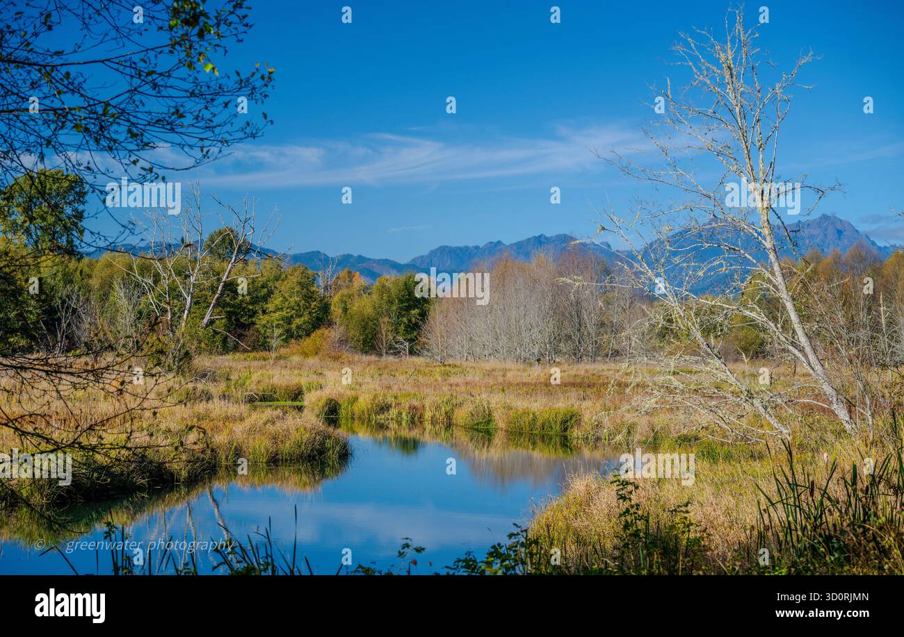 Old Webb Ranch Skokomish River Wa. Foto Stock