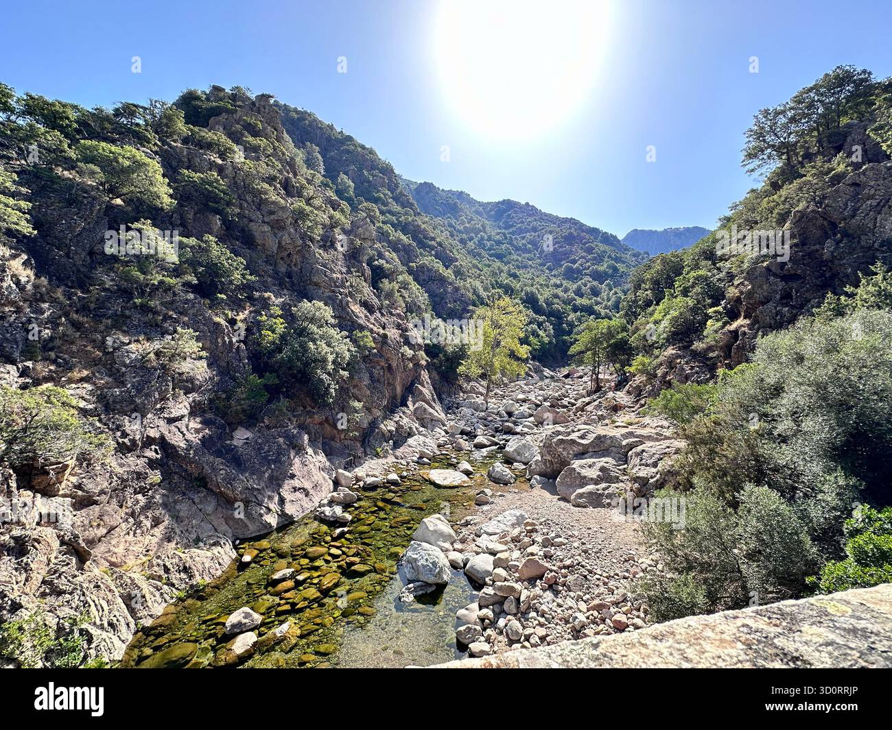 Vista panoramica di un letto di fiume roccioso e scogliere ripide nelle montagne selvagge della Corsica, Francia. Paesaggio estivo nel Mediterraneo. - Immagine stock catturata con smartphone