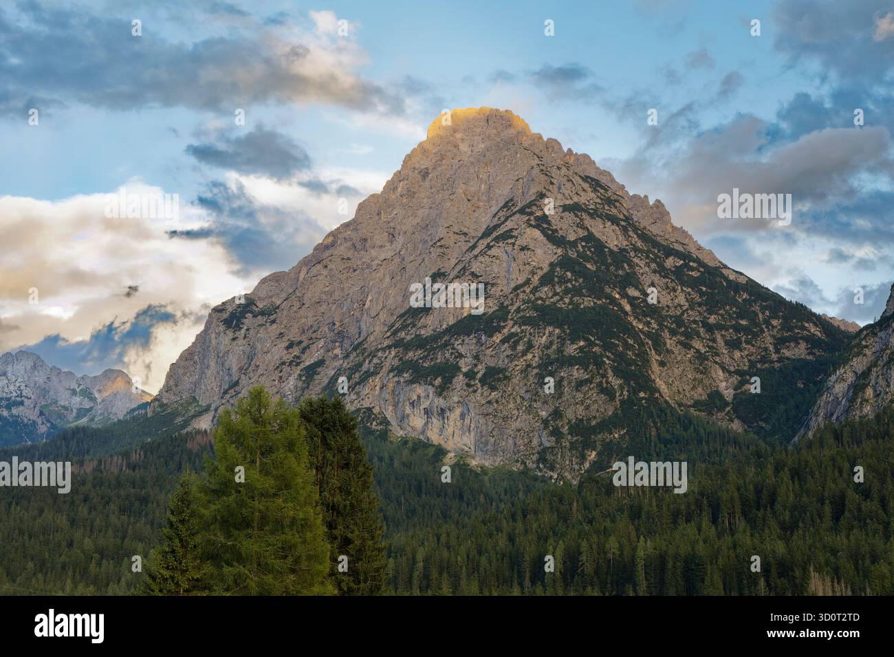 Maestoso Monte Siera con luce dorata e Foresta di conifere, Sappada, Italia Foto Stock