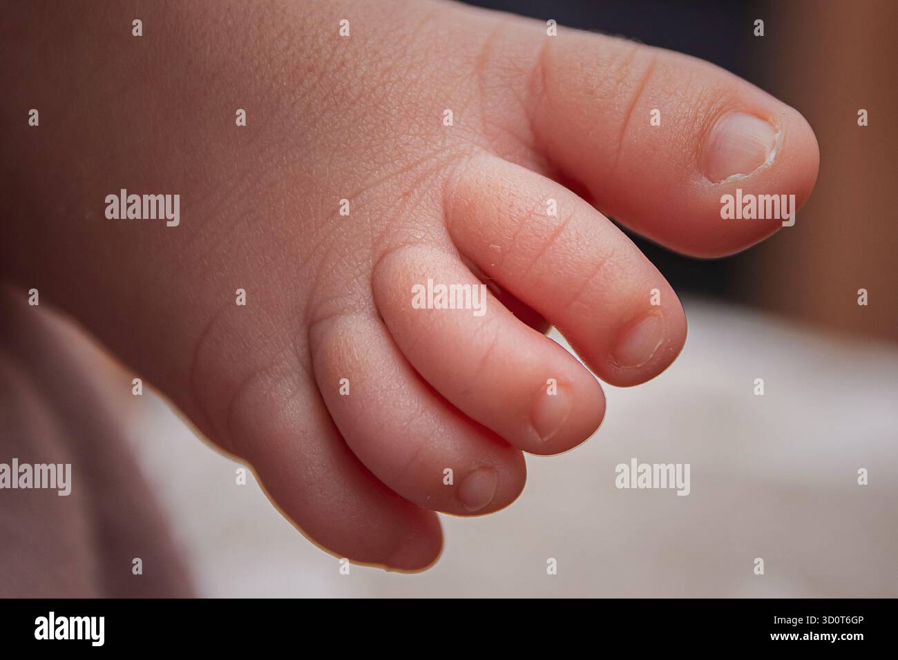 dettagli del piede di un neonato Foto Stock