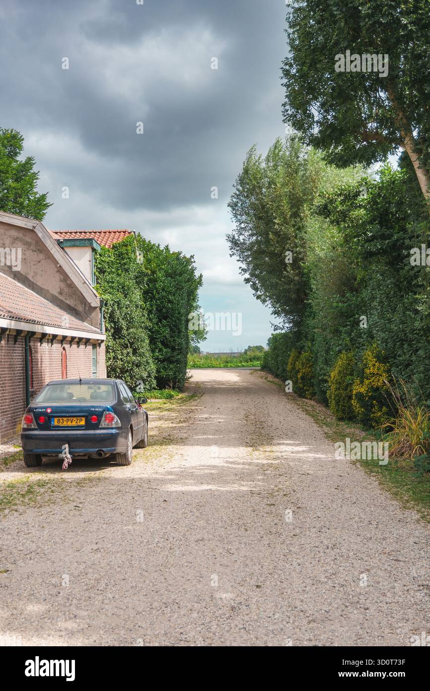 È possibile vedere una strada rurale costeggiata da vegetazione e una fattoria che funge da ex caseificio nei Paesi Bassi. Foto Stock