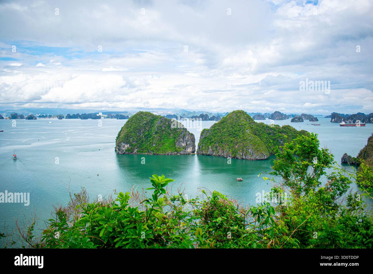 Vista panoramica della baia di ha Long nel nord del Vietnam, mostrando le isole carsiche di pietra calcarea sparse attraverso il mare turchese nell'area patrimonio dell'umanità dell'UNESCO. Foto Stock