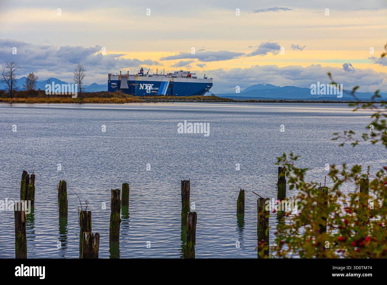 Enorme nave da trasporto che parte dal fiume Fraser a Steveston B.C. Canada Foto Stock