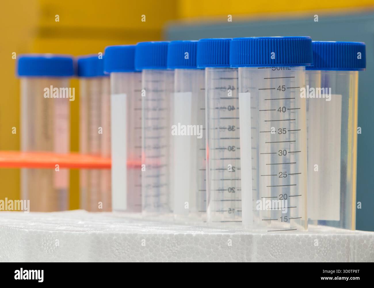 Provette in plastica fiale vuote per flaconi misurazione in millilitro con tappi in vassoio in polistirolo Foto Stock