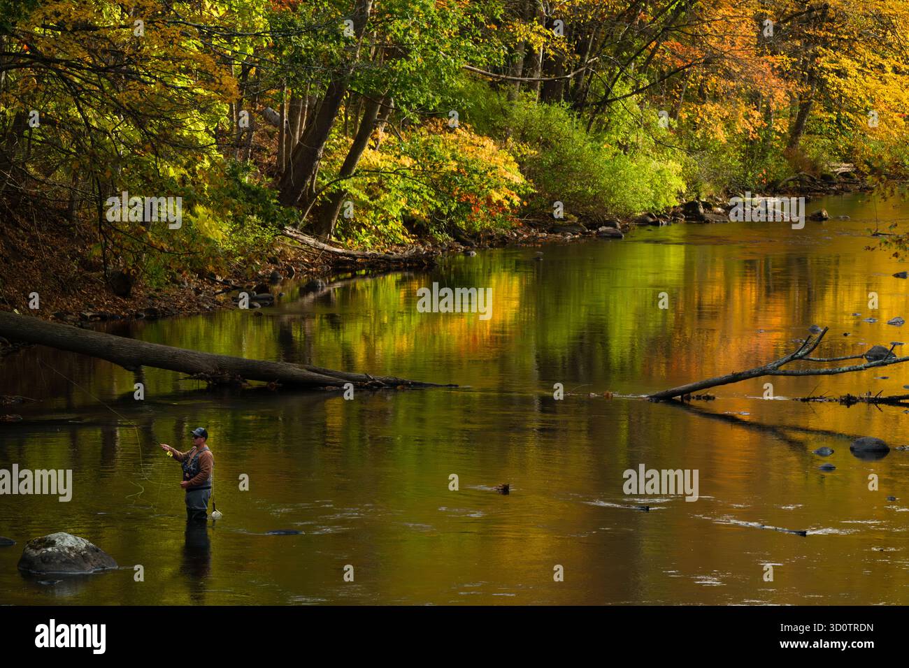 La pesca con la mosca Farmington fiume _ Barkhamsted, Connecticut, Stati Uniti d'America Foto Stock