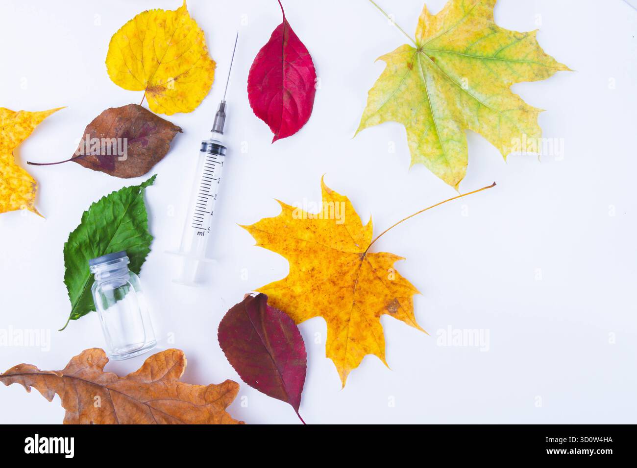 Vaccinazione autunnale della popolazione. Siringa nelle foglie autunnali. Vaccinazione in autunno. Nuovo vaccino.. Foto Stock