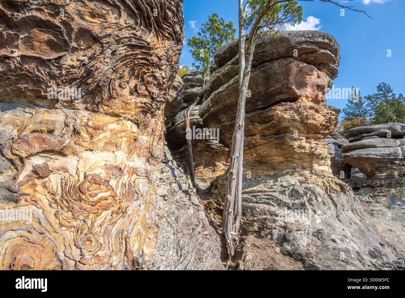 Gruppi di Liesegang in formazioni rocciose sedimentarie al Garden of the Gods nella Shawnee National Forest nell'Illinois meridionale. (USA Foto Stock