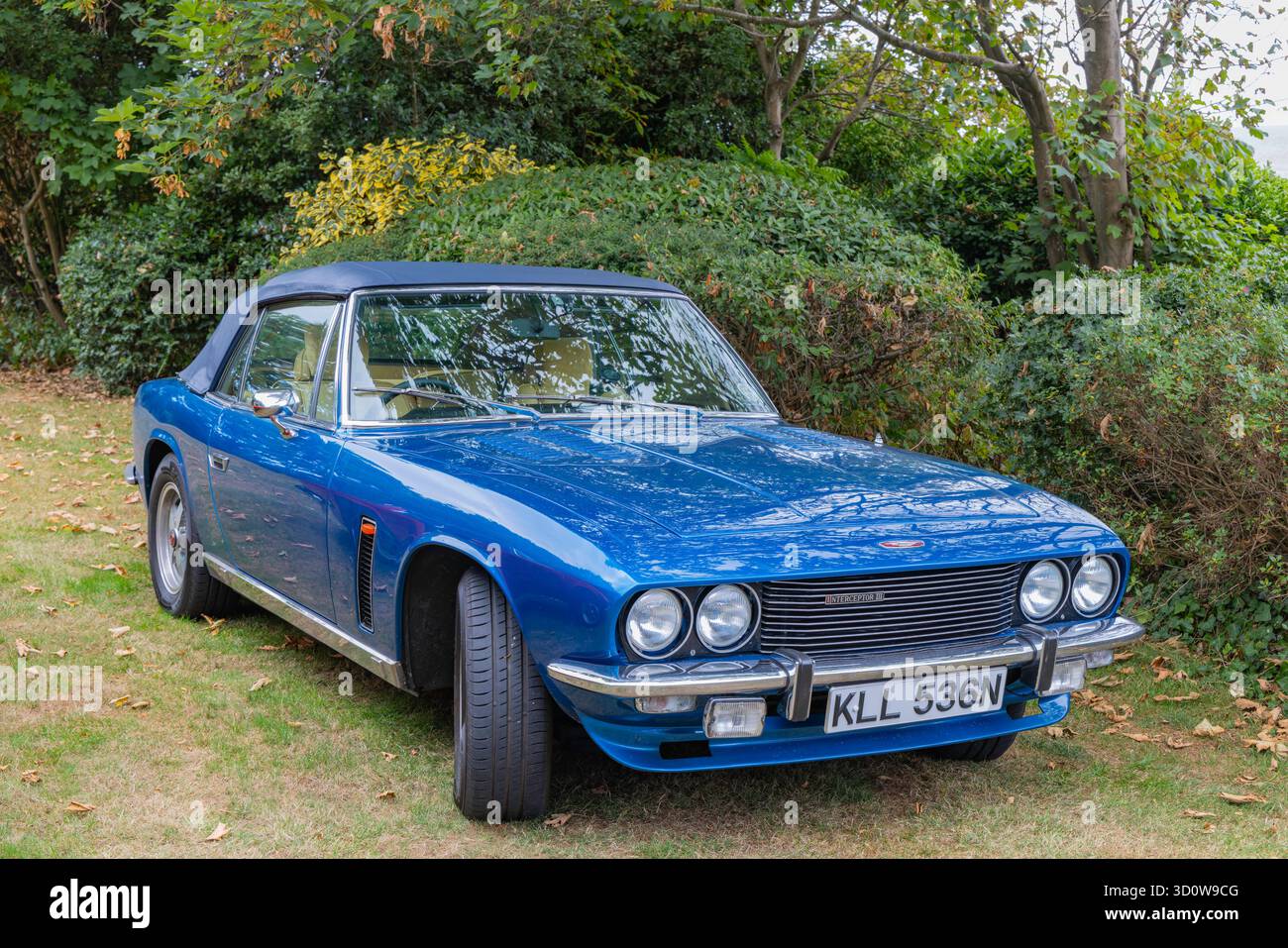 Blue Jensen Interceptor III parcheggiato per la visualizzazione Foto Stock