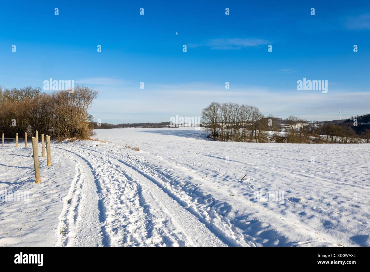 Idyll nella neve: Strada di campagna con corsie conduce attraverso un ampio campo incontaminato Foto Stock