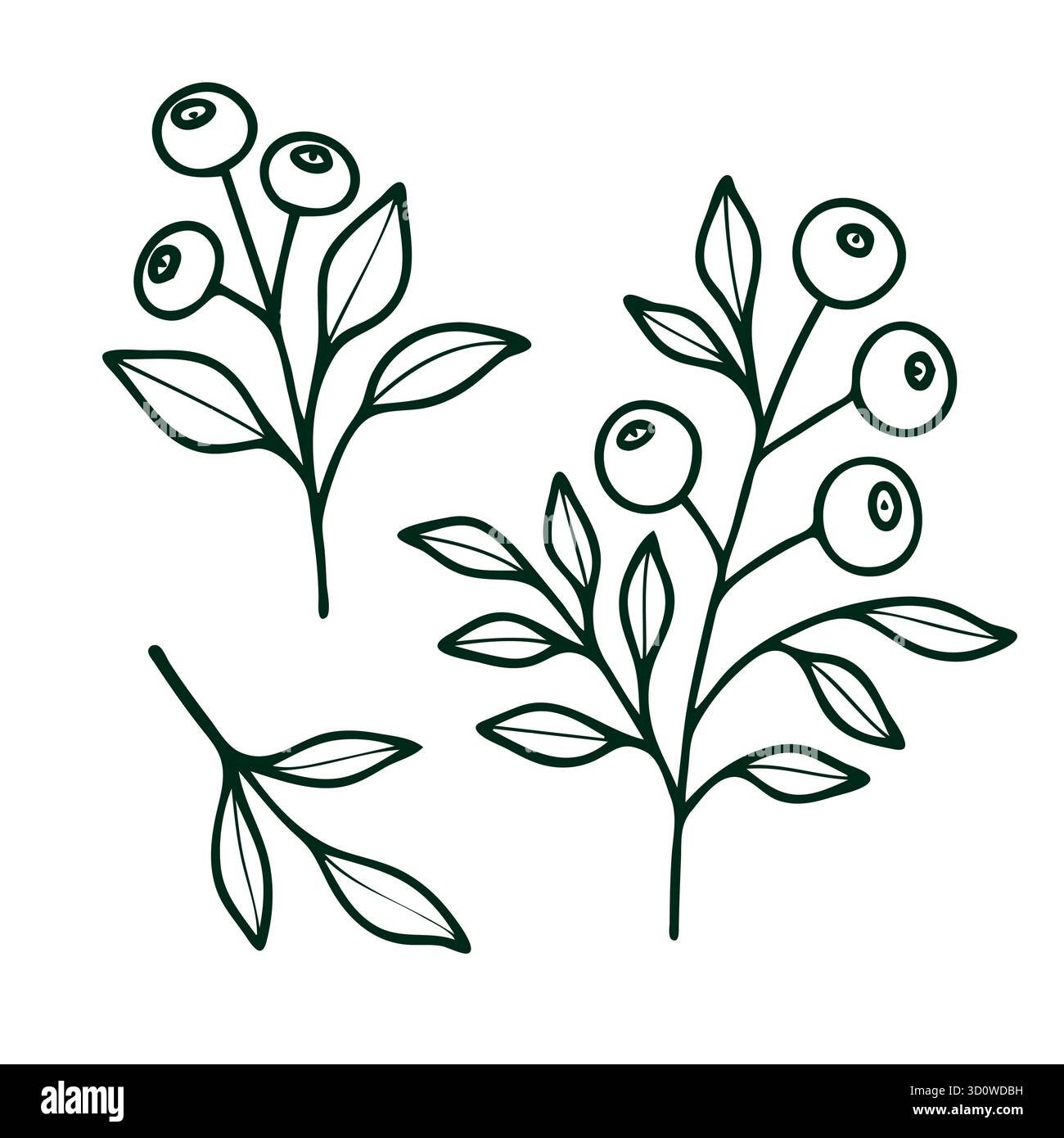 Bacche forestali vettoriali non-IA su rami. Frutti di bosco stilizzati su ramoscelli isolati su sfondo bianco. Illustrazione Vettoriale