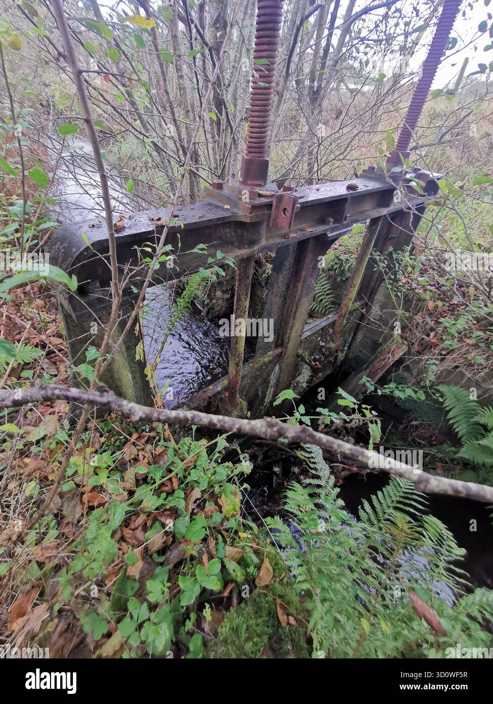 Abbandono di Forestmill weir, Clackmannanshire, una reliquia sovrastata del sistema di lade del XVIII secolo un tempo vitale per il controllo delle acque e il minino della diga di Gartmorn - Immagine stock catturata con smartphone