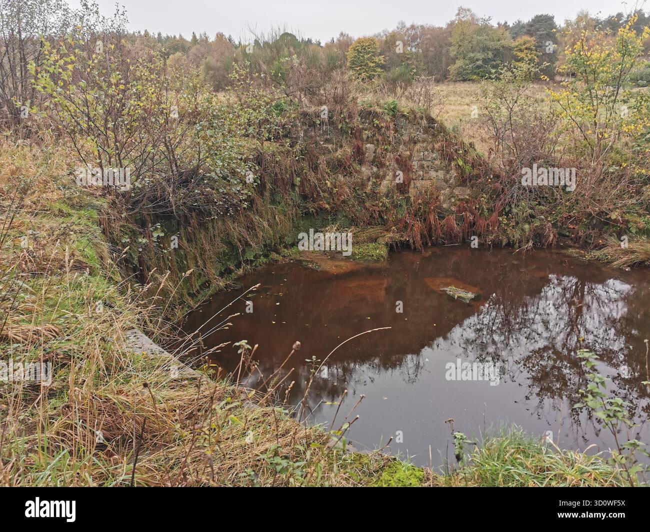 Rovina del 1712 della pira a ferro di cavallo a Forestmill, Clackmannanshire, abbandonò il lavoro idraulico del pioniere George Sorocold. - Immagine stock catturata con smartphone