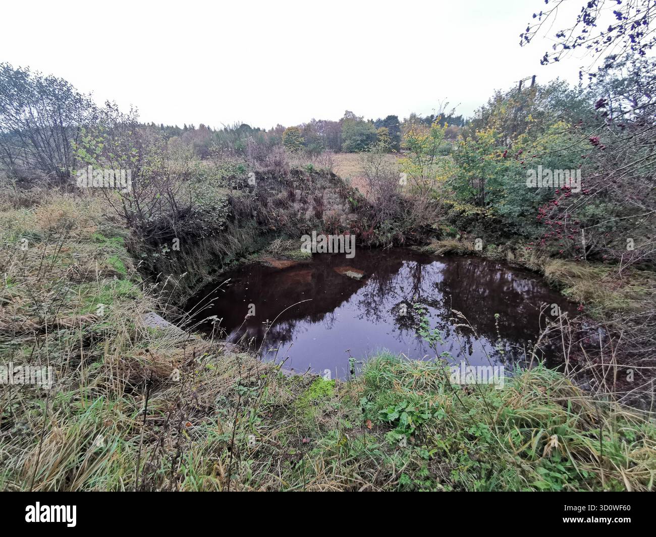 Rovina del 1712 della pira a ferro di cavallo a Forestmill, Clackmannanshire, abbandonò il lavoro idraulico del pioniere George Sorocold. - Immagine stock catturata con smartphone