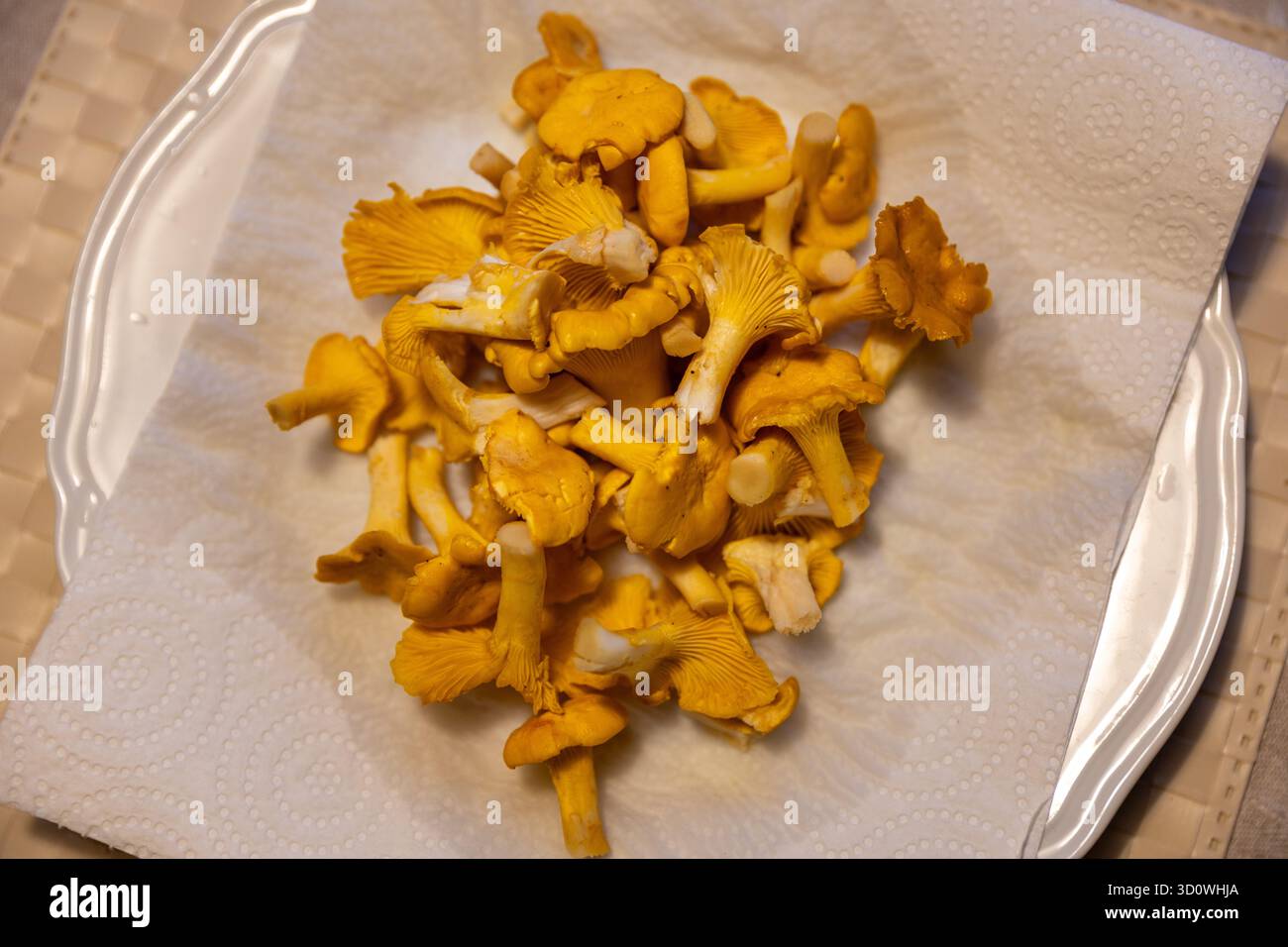 Semplice piatto di funghi chantarelles crudi raccolti a mano su carta Foto Stock