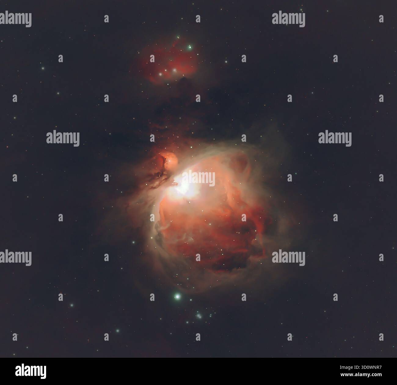 Wimbledon, Londra, Regno Unito. 24 ottobre 2025. Associata all'inverno, la costellazione di Orione è visibile nel cielo delle prime ore del mattino. Questa fotografia, scattata in un cielo molto limpido sopra Londra tra l'1 e le 4 del mattino, è il risultato di un'esposizione di 3 ore attraverso un telescopio della nebulosa diffusa M42 situato sotto la cintura di Orion. Crediti: Malcolm Park/Alamy Foto Stock