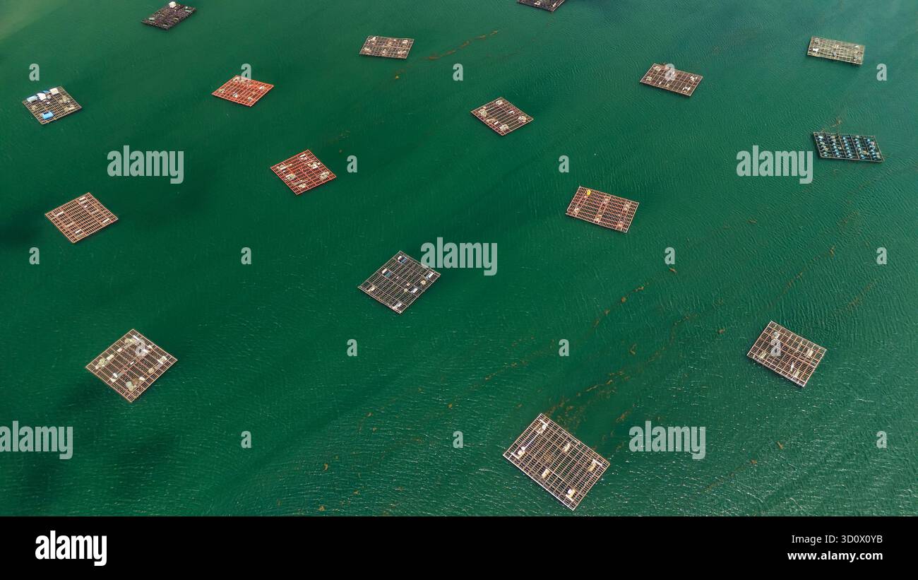 Piattaforme di allevamento di cozze a Vigo Bay, Galizia, Spagna, vista aerea Foto Stock