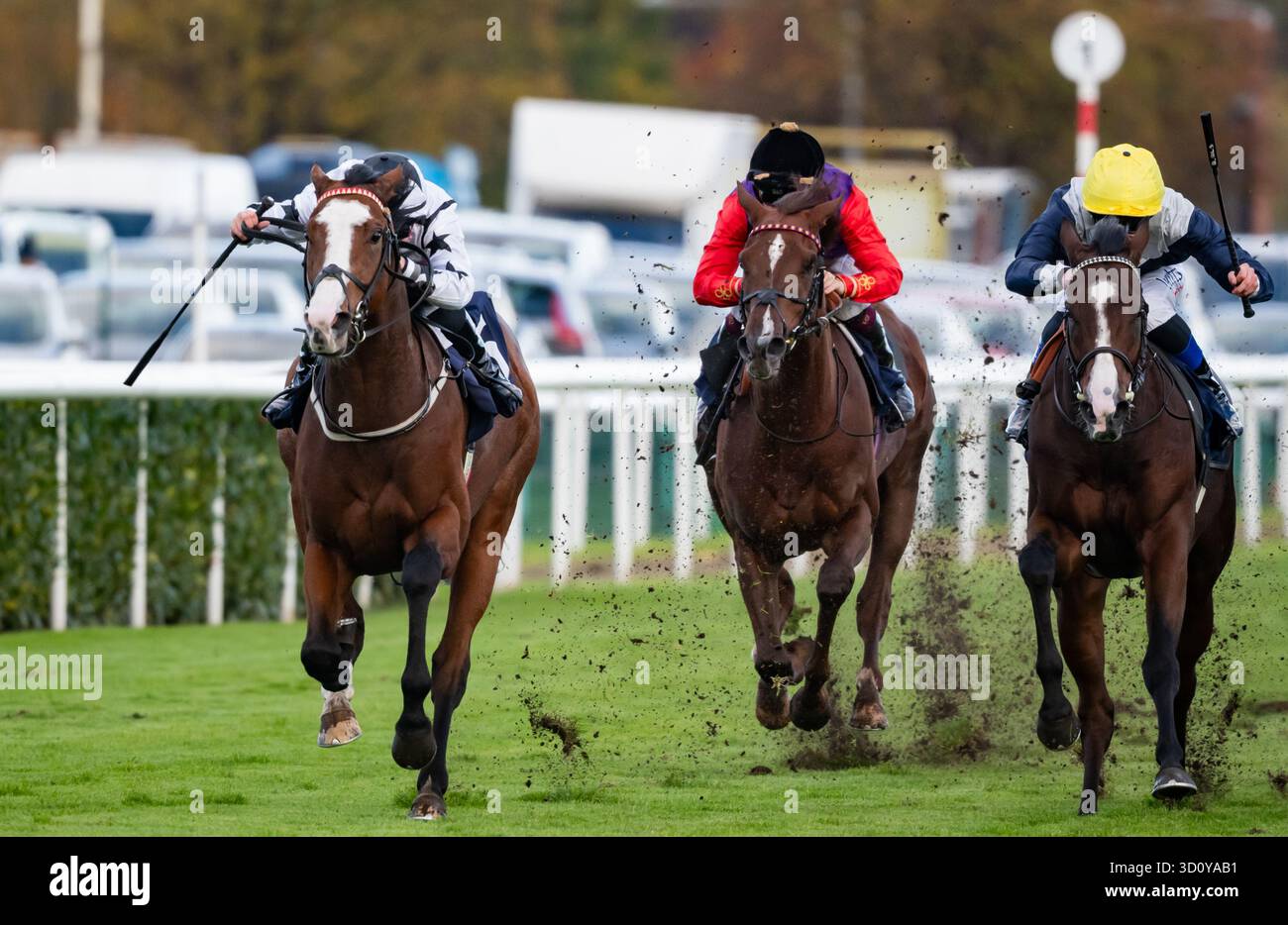 Doncaster, Regno Unito, sabato 25 ottobre 2025; il Resdev Scholar e il fantino Joanna Mason vincono la Sky Sports Racing SKY 415 Nursery handicap Stakes per gli allenatori Michael & David Easterby e i proprietari Nick Bradley 29, Resdev & South Bank Racing. Crediti JTW equine Images / Alamy Live News. Foto Stock