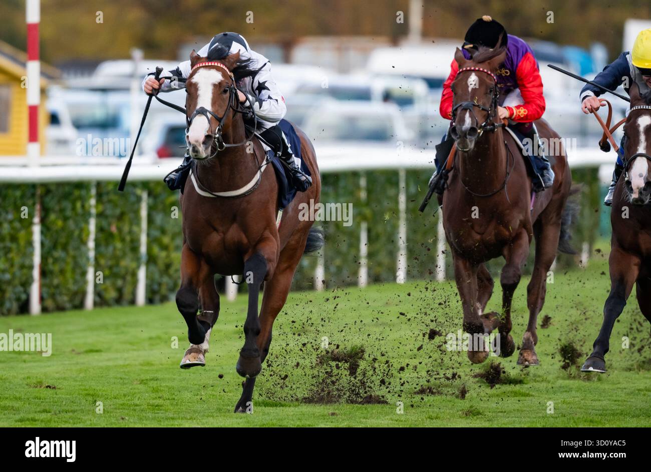 Doncaster, Regno Unito, sabato 25 ottobre 2025; il Resdev Scholar e il fantino Joanna Mason vincono la Sky Sports Racing SKY 415 Nursery handicap Stakes per gli allenatori Michael & David Easterby e i proprietari Nick Bradley 29, Resdev & South Bank Racing. Crediti JTW equine Images / Alamy Live News. Foto Stock
