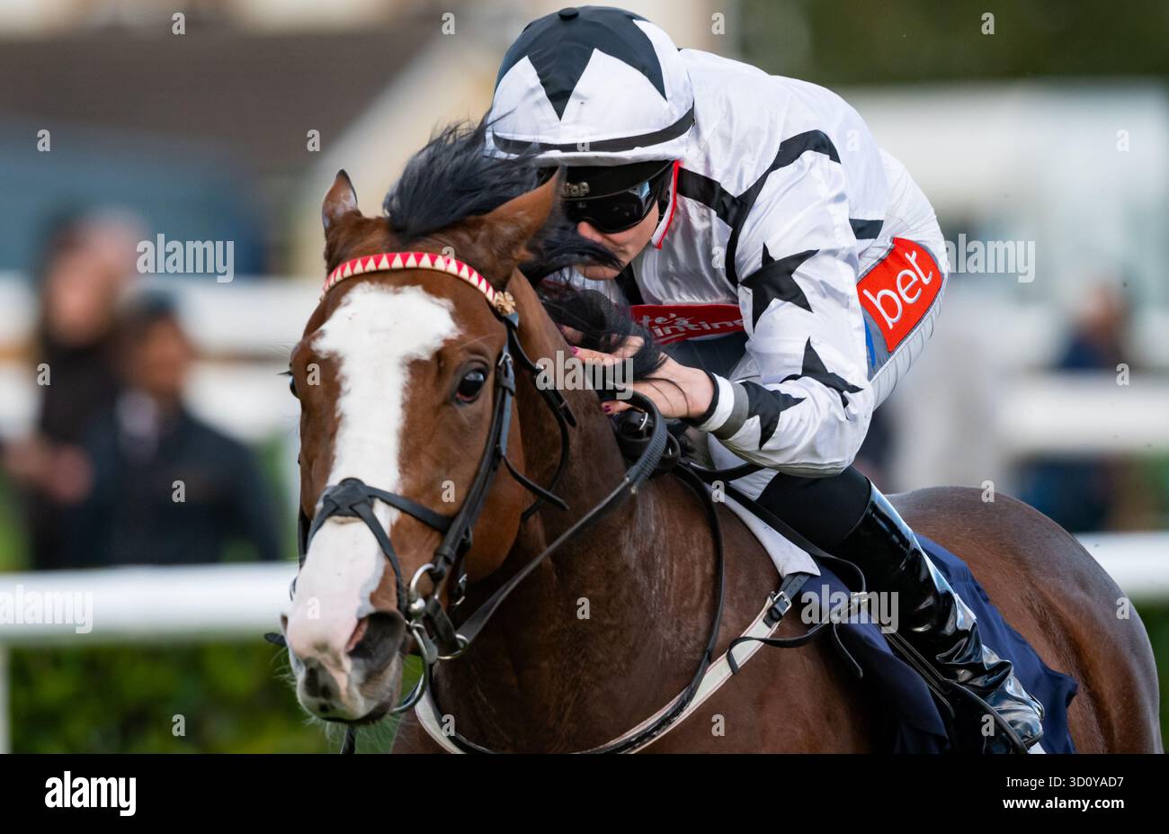 Doncaster, Regno Unito, sabato 25 ottobre 2025; il Resdev Scholar e il fantino Joanna Mason vincono la Sky Sports Racing SKY 415 Nursery handicap Stakes per gli allenatori Michael & David Easterby e i proprietari Nick Bradley 29, Resdev & South Bank Racing. Crediti JTW equine Images / Alamy Live News. Foto Stock