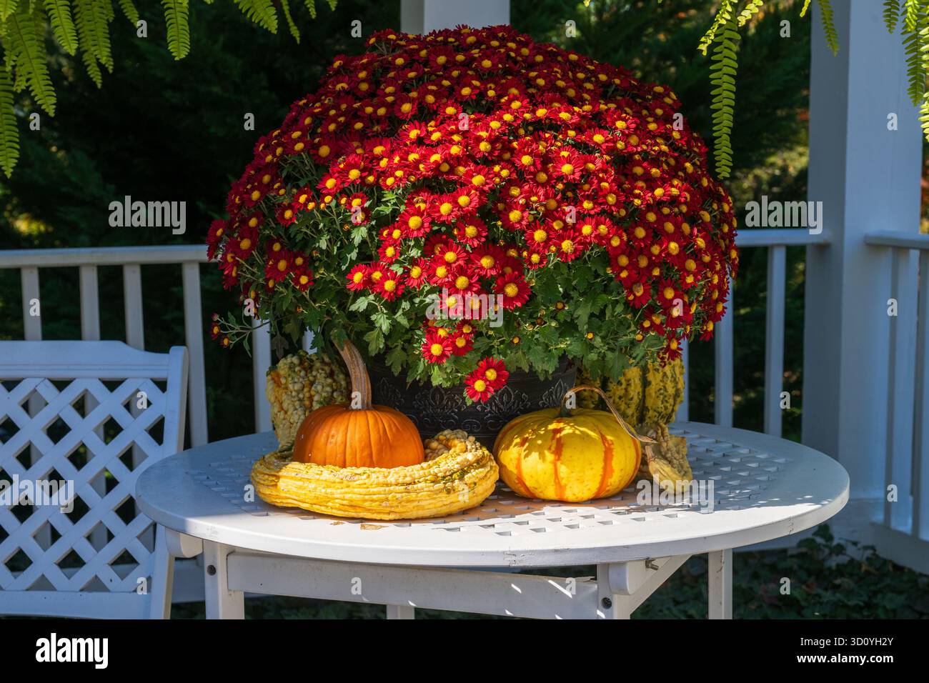 Bouquet autunnale nella veranda anteriore Foto Stock