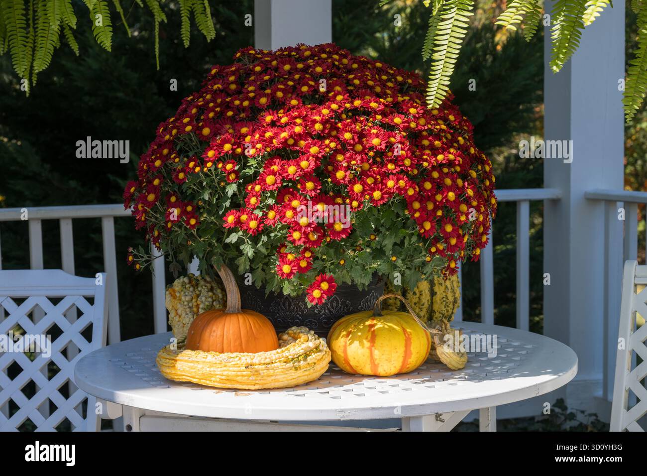 Bouquet autunnale nella veranda anteriore Foto Stock