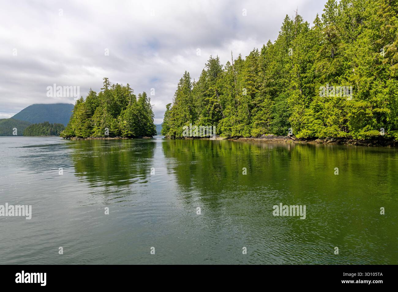 Meares Island con l'antica foresta e punto di partenza dell'escursione Big Tree Trail, Tofino, Vancouver Island, British Columbia, Canada. Foto Stock