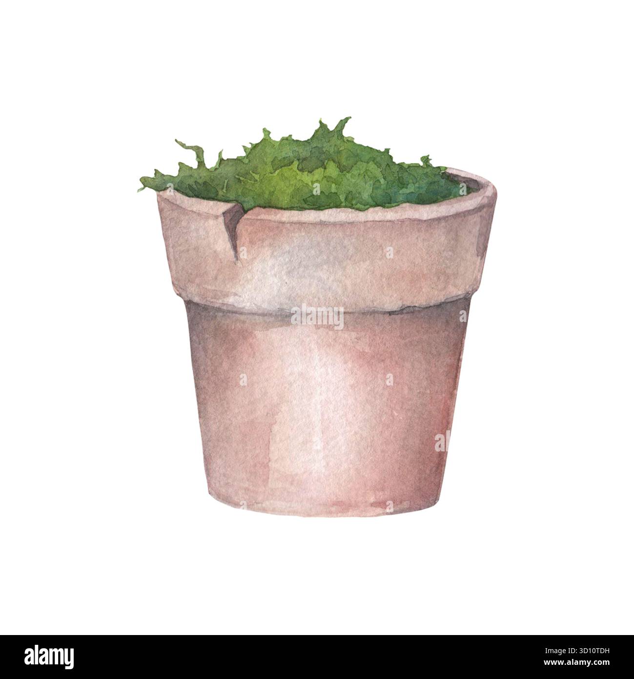 Vaso di fiori in ceramica e muschio. Illustrazione ad acquerello disegnata a mano isolata su sfondo bianco. Perfetto per la progettazione su carte, inviti, stoviglie, t Foto Stock