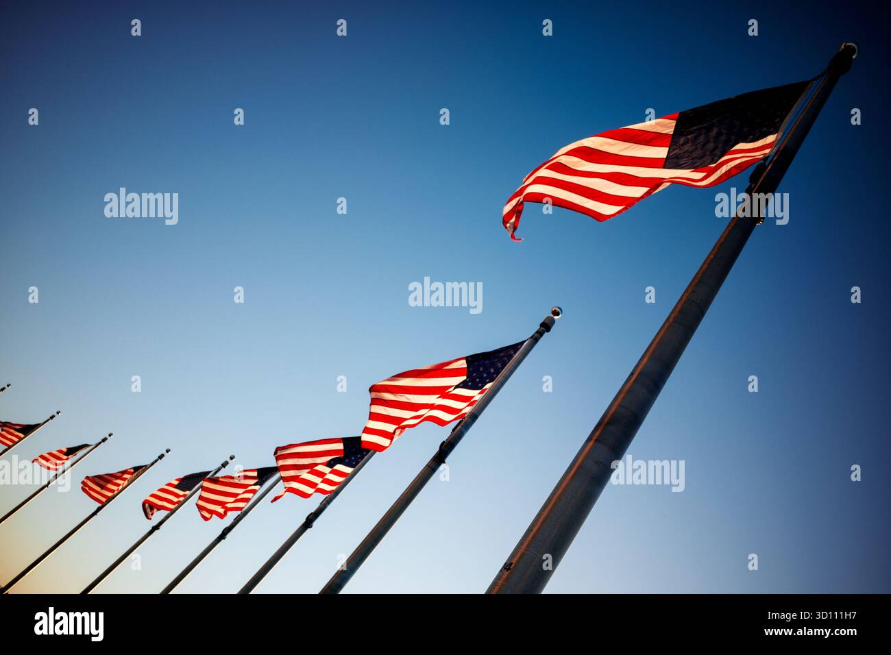 American Flags Waving in the Wind Washington DC // WASHINGTON DC — Una fila di bandiere degli Stati Uniti ondeggia in modo prominente contro il cielo a Washington D.C., la capitale degli Stati Uniti. Questi simboli nazionali sono probabilmente esposti all'interno dell'Ellipse, un parco pubblico di 52 acri situato a sud della Casa Bianca. L'Ellipse è un importante spazio pubblico gestito dal National Park Service, che ospita spesso eventi nazionali e installazioni patriottiche. Foto Stock