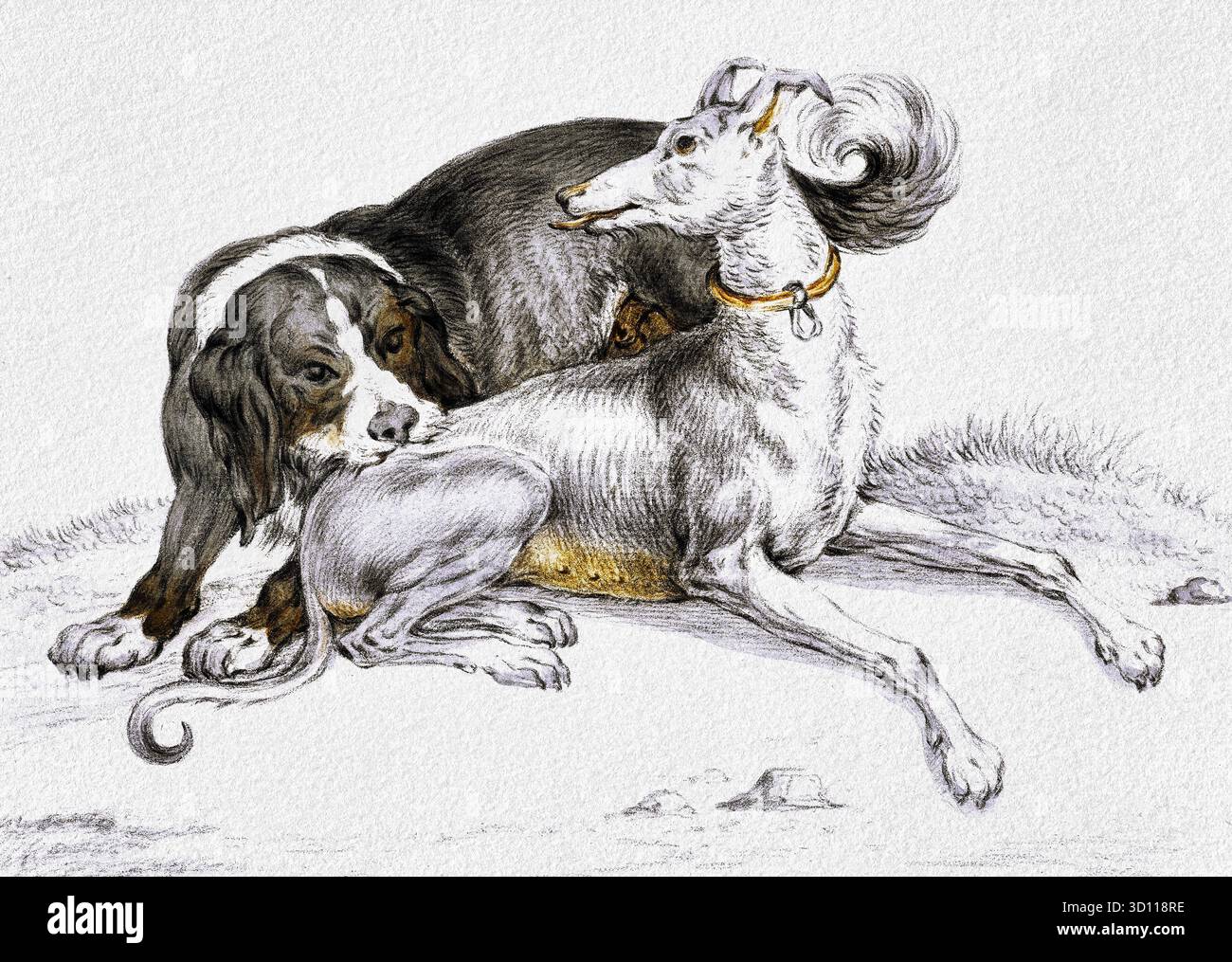 A Dog Bites Another sitting Dog di Jean Bernard (1775-1883) - scena animale del XIX secolo, pittura di genere realista, opere d'arte di dominio pubblico ad alta risoluzione Foto Stock