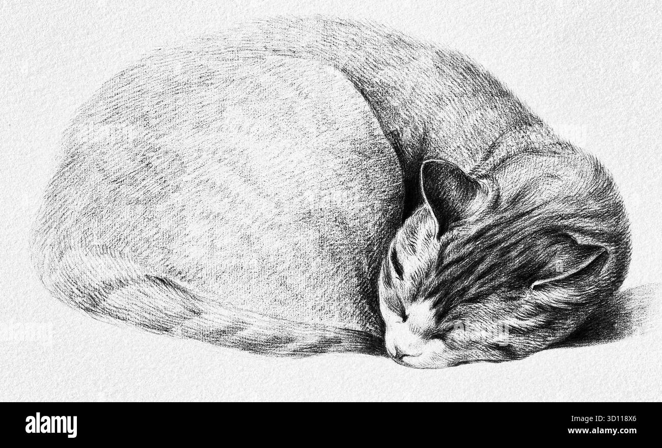 Rolled Up Lying, Sleeping Cat di Jean Bernard, dettagliato studio felino, illustrazione pastorale europea, opere d'arte di dominio pubblico ad alta risoluzione di Foto Stock
