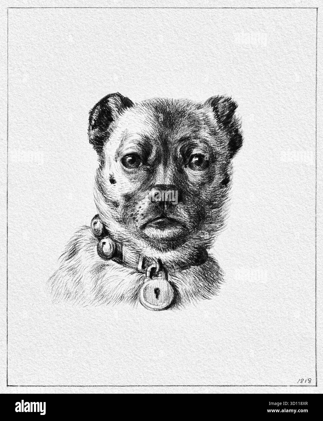 Dog Head with a Collar (1818) di Jean Bernard (1775-1883) - Ritratto animale realista olandese del XIX secolo, disegno a inchiostro fine, alta risoluzione Foto Stock