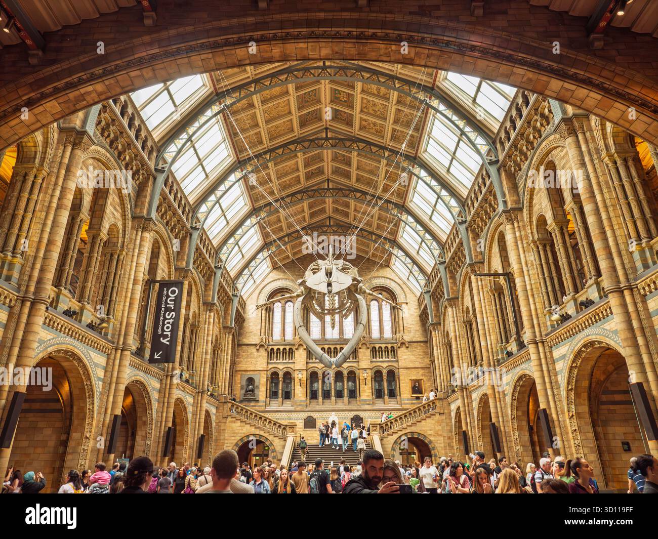 Interno della sala principale del Museo di storia naturale, Londra, Regno Unito Foto Stock