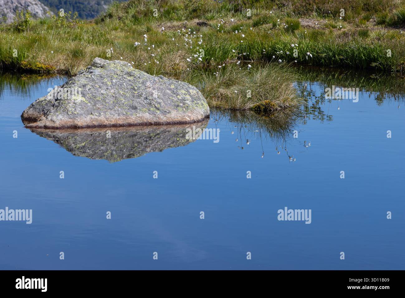 Lago di montagna nel paesaggio alpino della tundra dei Monti scandinavi vicino al sentiero escursionistico Preikestolen in Rogaland. Vestlandet, Norvegia occidentale Foto Stock