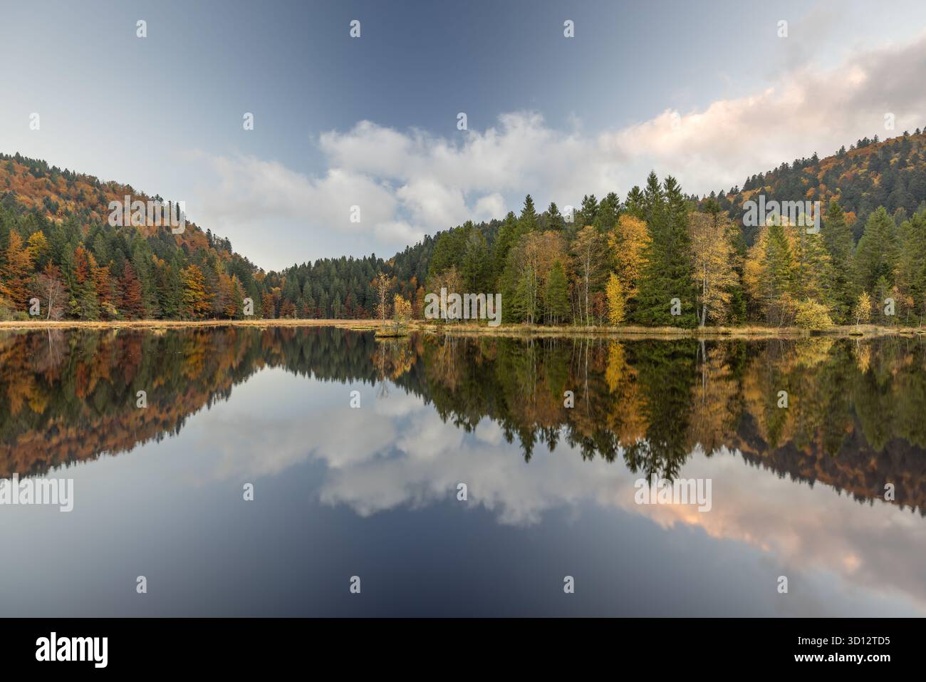 Atmosfera autunnale presso il lago di Lispach nei Vosgi, vicino al villaggio di la Bresse, in Francia. Foto Stock