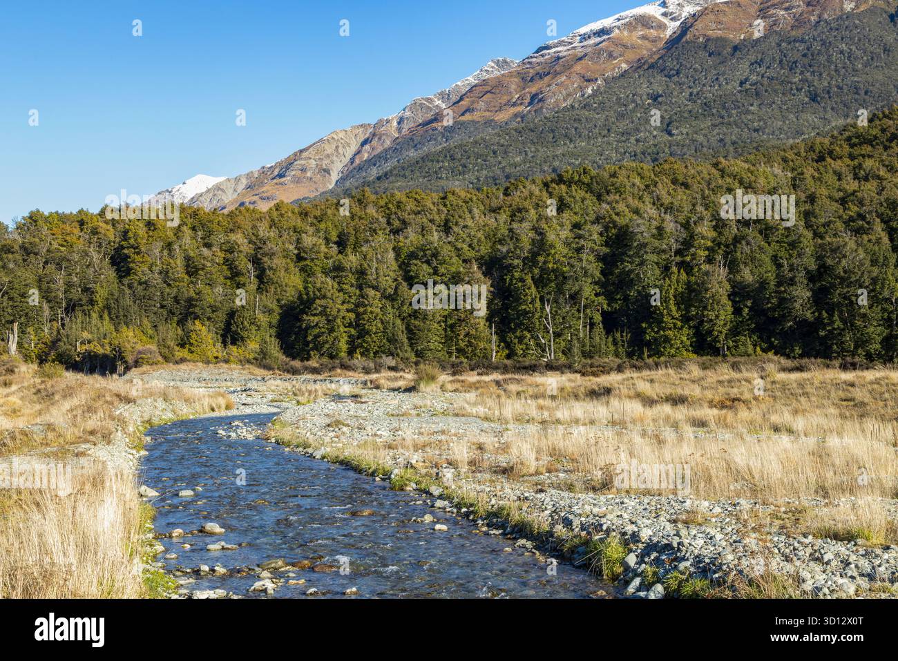 Il torrente Glacier Burn si getta dalle montagne Humboldt vicino a Kinloch, nuova Zelanda Foto Stock