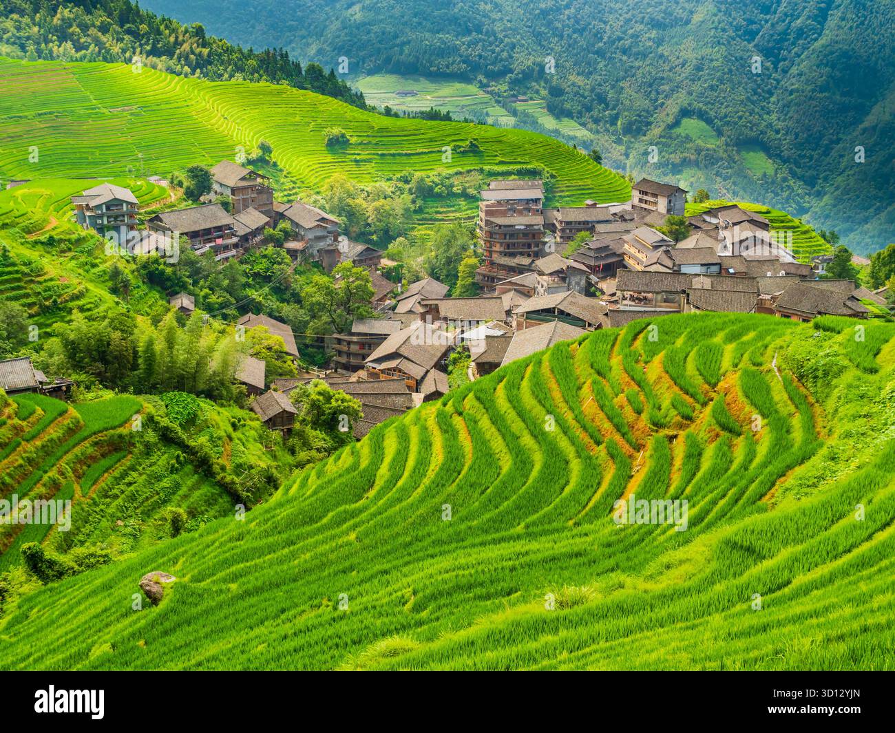 Pittoresca vista del villaggio di Longji circondato da verdi risaie terrazzate, contea di Longsheng, Guilin, Guangxi, Cina Foto Stock