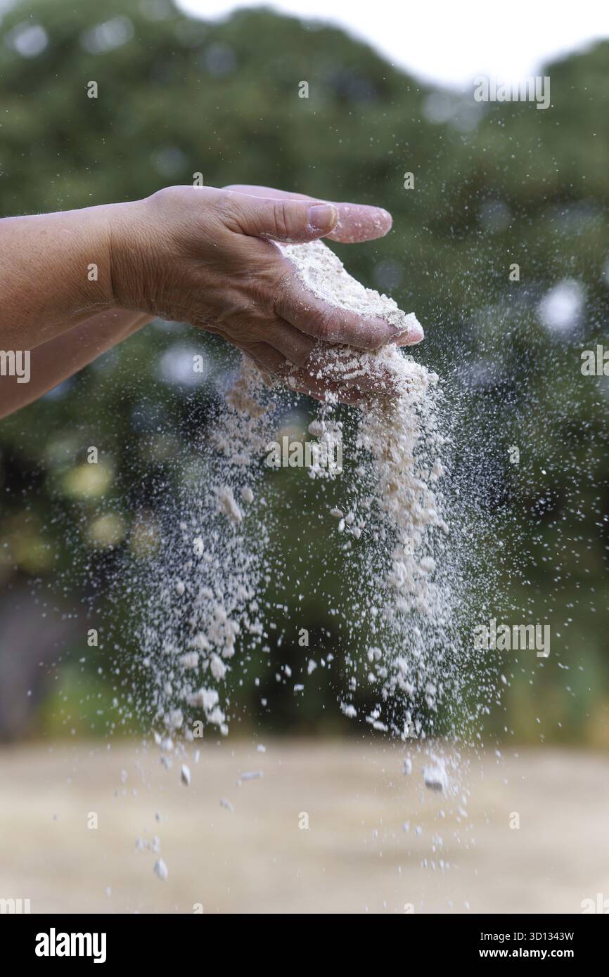 Mani che trattengono e setacciano la farina bianca, con particelle che cadono attraverso le dita, dimostrando la preparazione della cottura Foto Stock