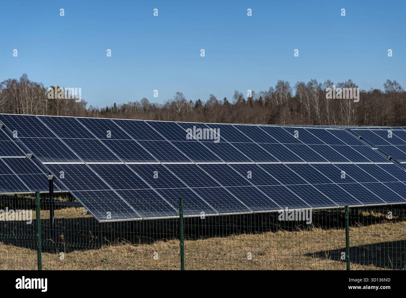 File di pannelli solari installati su un terreno con un cielo azzurro chiaro nel pomeriggio Foto Stock