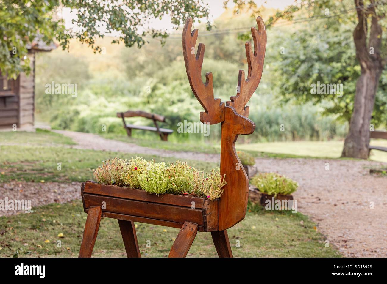Piantatrice decorativa in legno a forma di cervo in un giardino rustico, che contiene piante vivaci e succulente Foto Stock