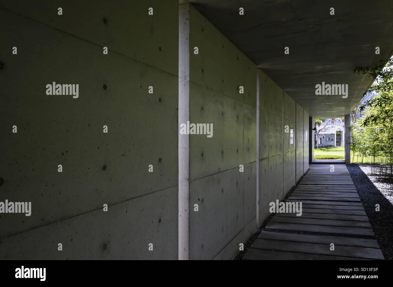 Nantou, Taiwan - 20 giugno 2019: Corridoio con albero di bambù nello Yuhsiu Museum Art a Caotun, Nantou, Taiwan Foto Stock