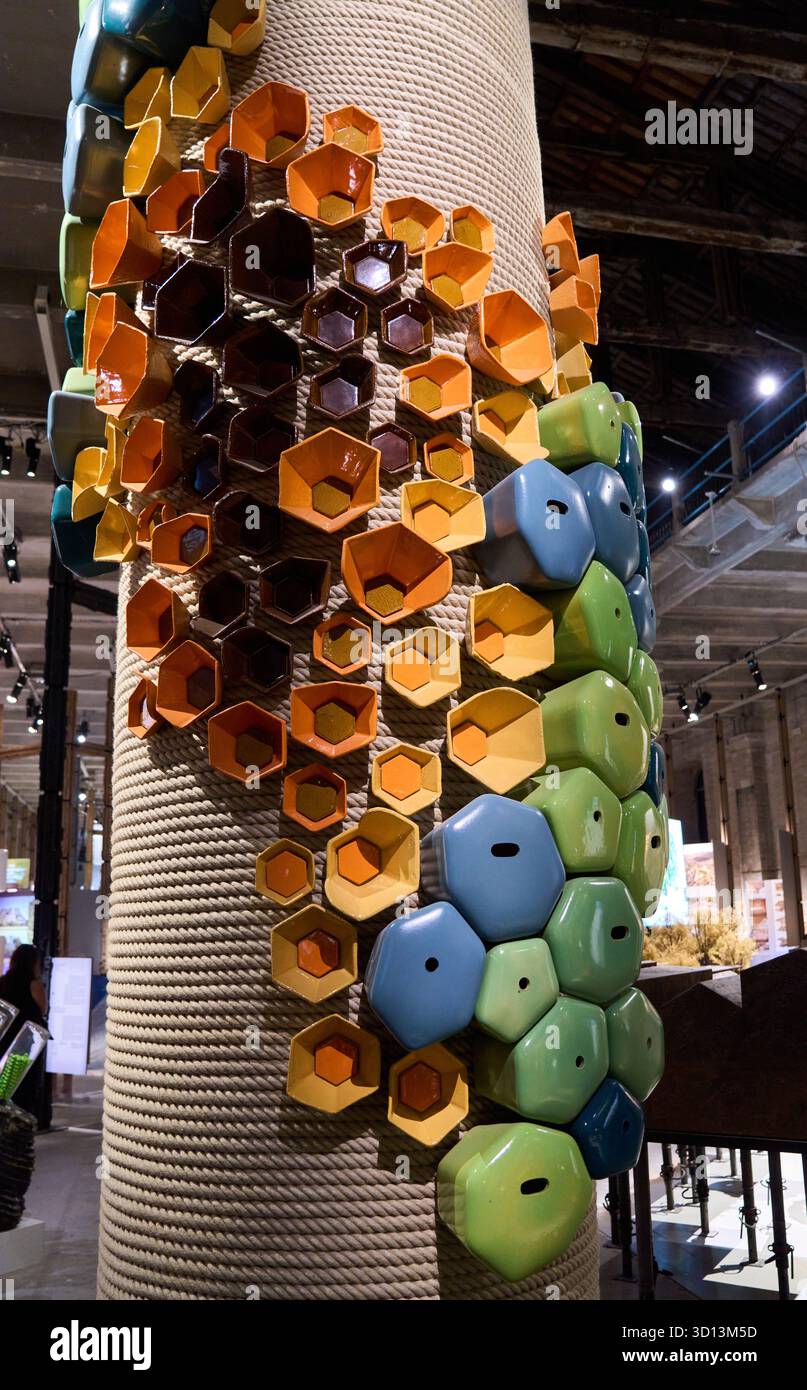 Gli ordini viventi di Venezia, Studio Gang, Biennale architettura 2025, 19a Mostra Internazionale di architettura, Venezia, Venezia, Veneto, Italia, euro Foto Stock