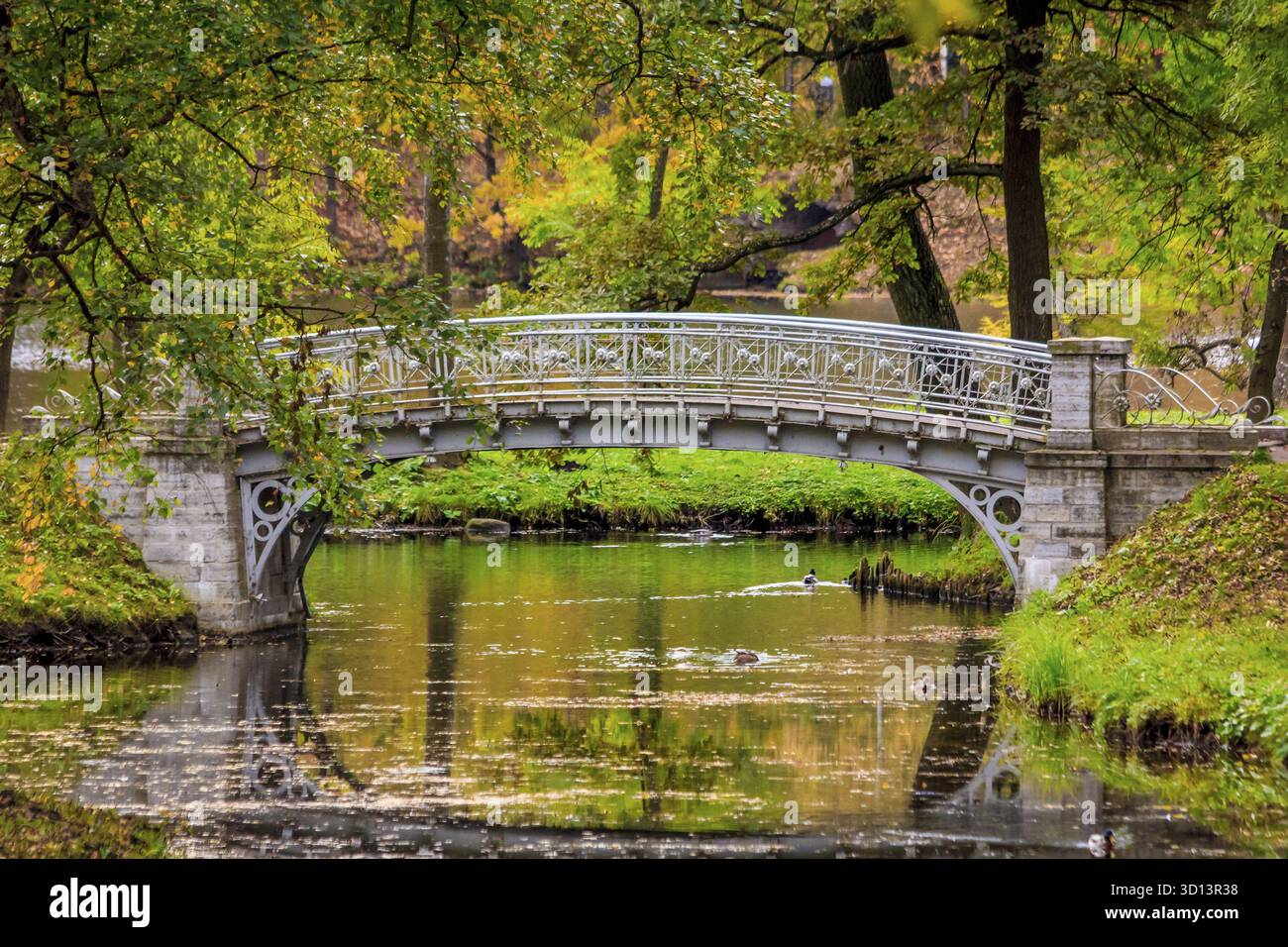 Parco autunnale con clima nuvoloso. condizioni meteorologiche imperfette. autunno. immagine triste. tristemente triste Foto Stock