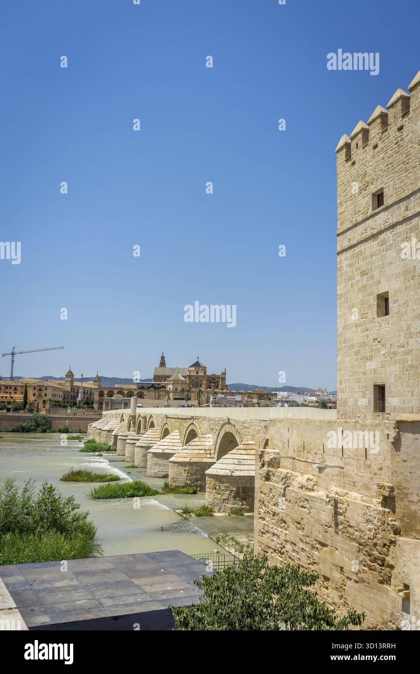 Una vista della torre di Calahorra, del ponte romano e della Mezquita de Cordoba, della grande Moschea di Cordova, della Moschea-Cattedrale, della Mezquita e del campanile da Foto Stock