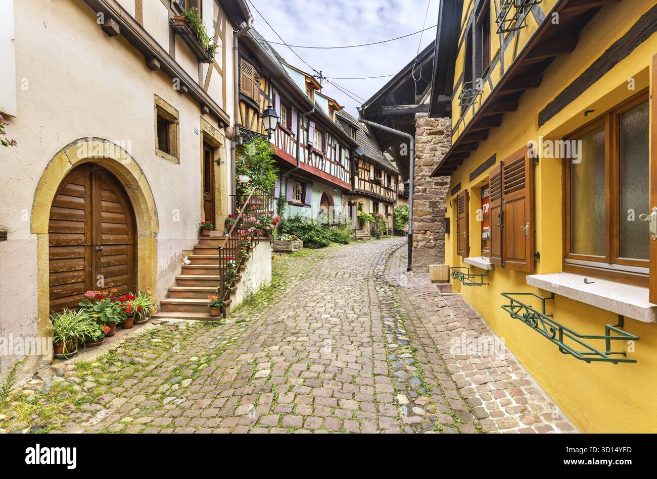 Eguisheim, Francia - 8 luglio 2019: Case colorate in legno dell'alsaziano nel villaggio di Eguisheim, Francia Foto Stock